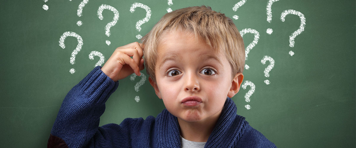 An Answer to the Question ‘Why’?